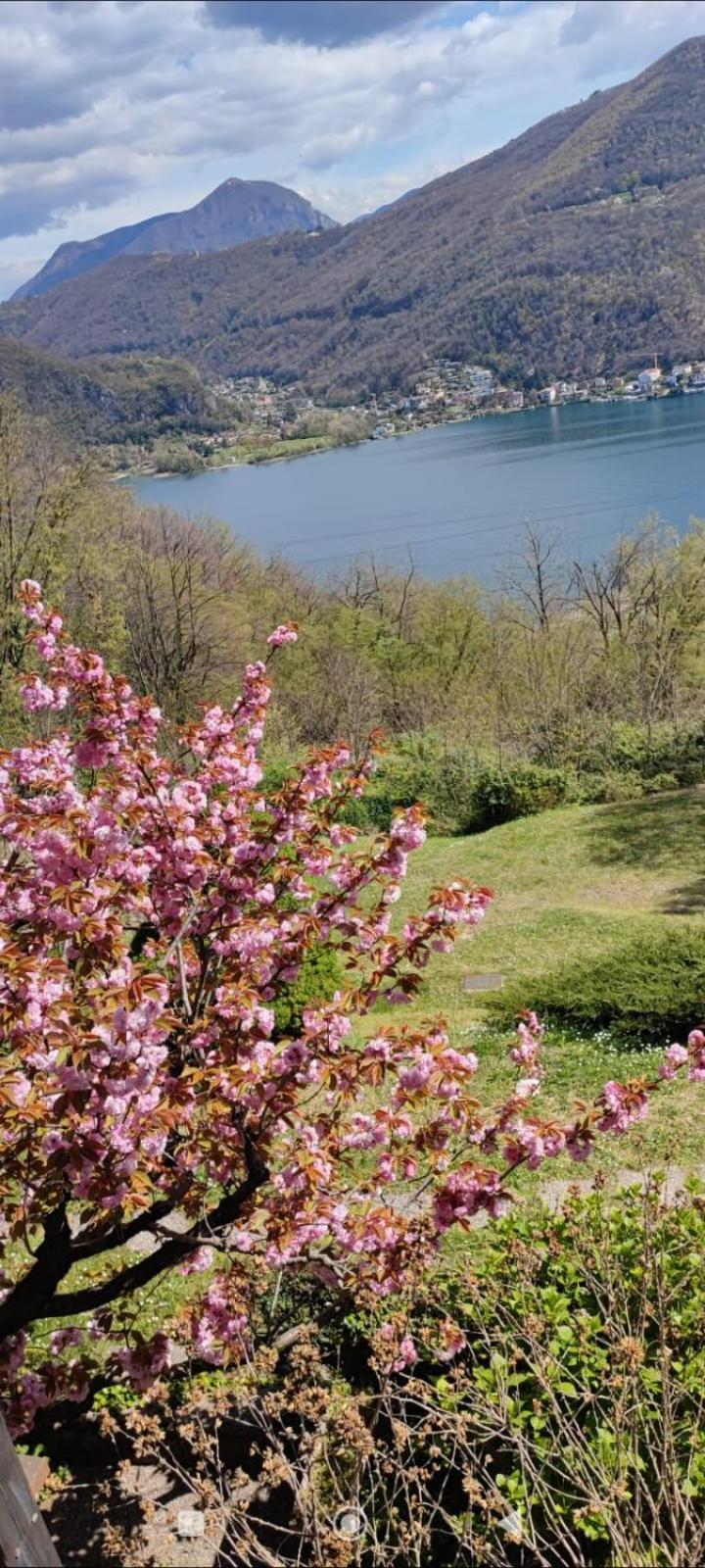 La Finestra Sul Lago Bed and Breakfast Brusimpiano Exteriör bild